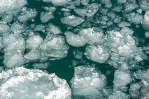 Ice Field 4 by Joe Clark 1