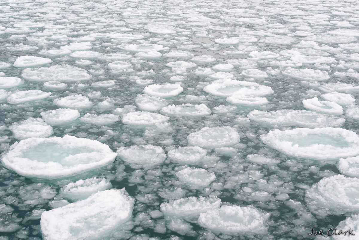 Ice Field 1 by Joe Clark