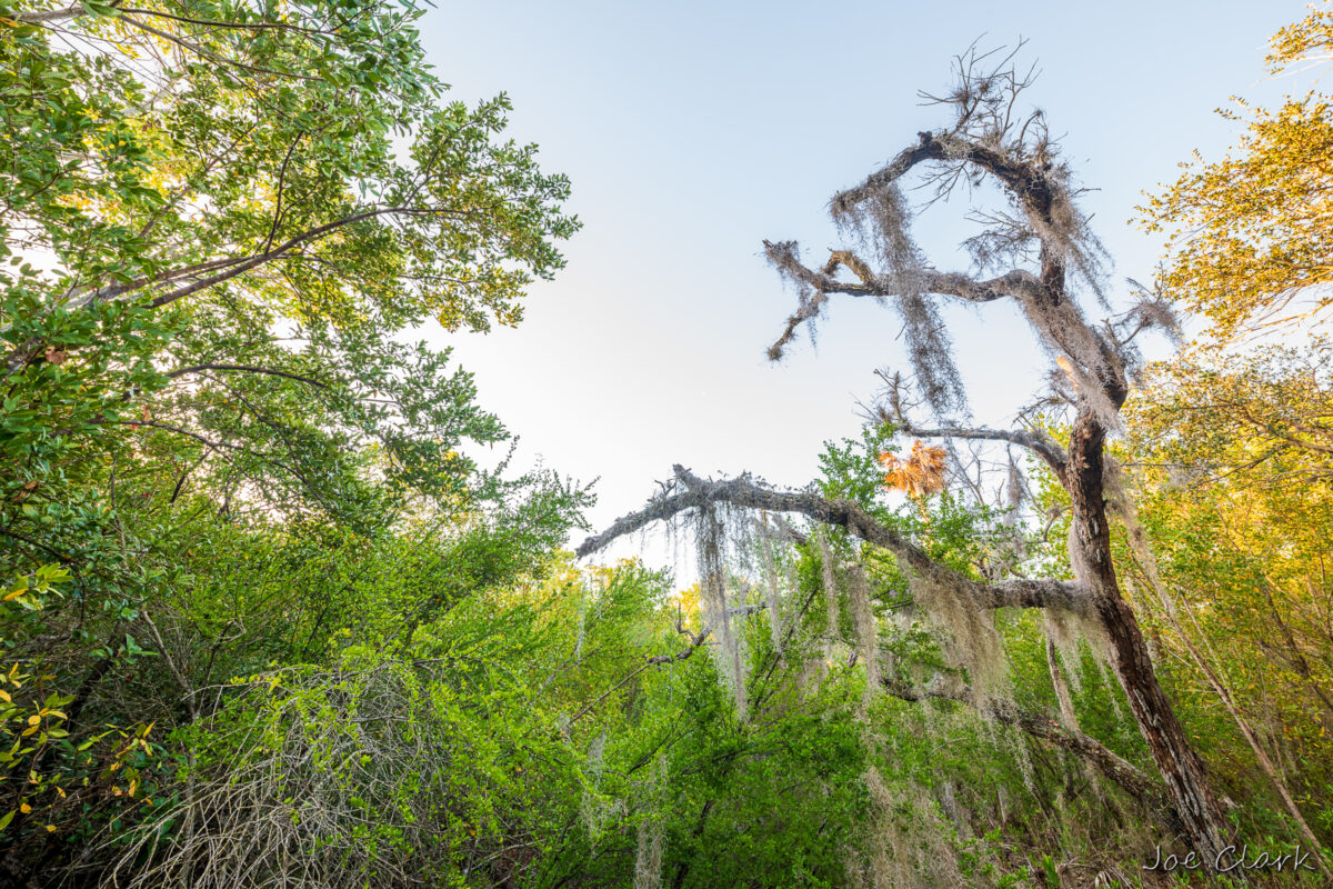 Forever Supportive by Joe Clark American landscape Photographer