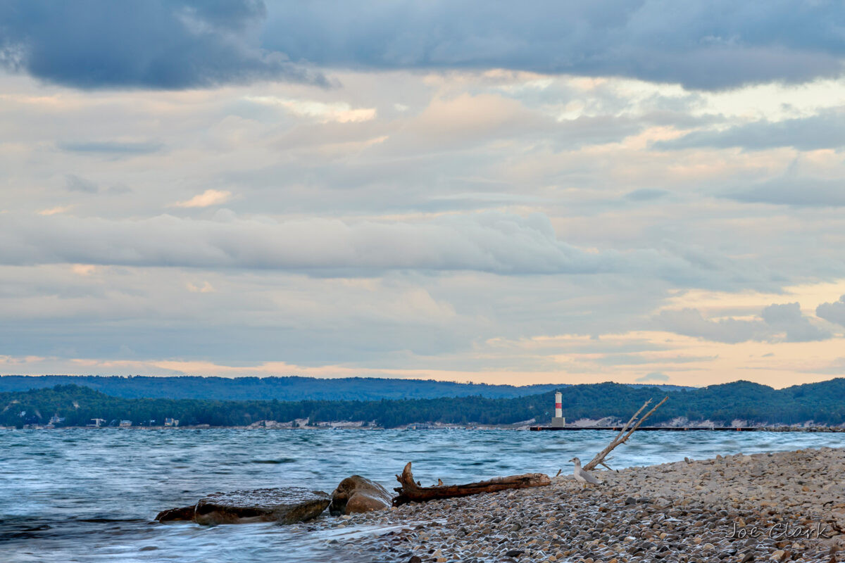 "Beach Day" by Joe Clark