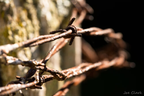 Barbed Wire 1