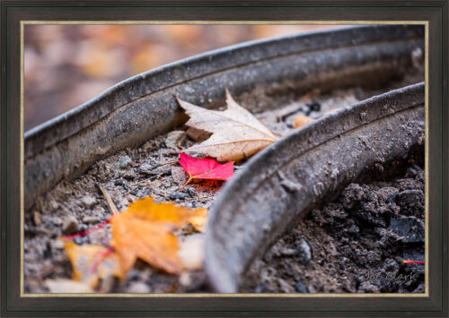 Fall FIre Pit by Joe Clark L638120L638120.jpg