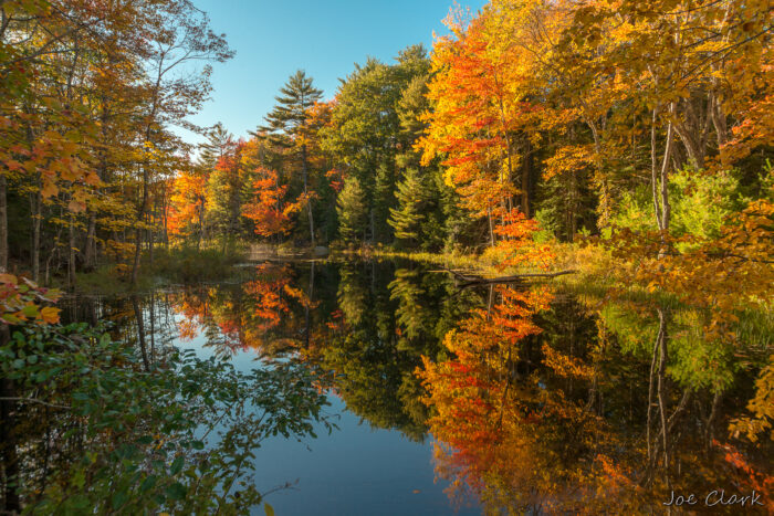 Fall in Maine 2