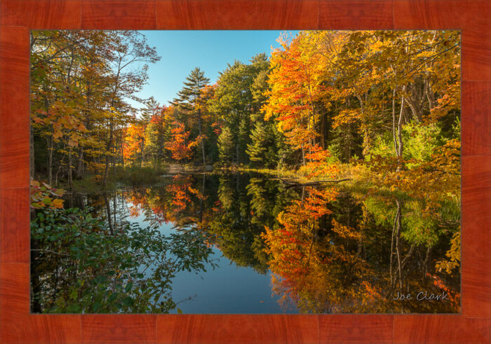 Fall in Maine 2 by Joe Clark R60553.jpg