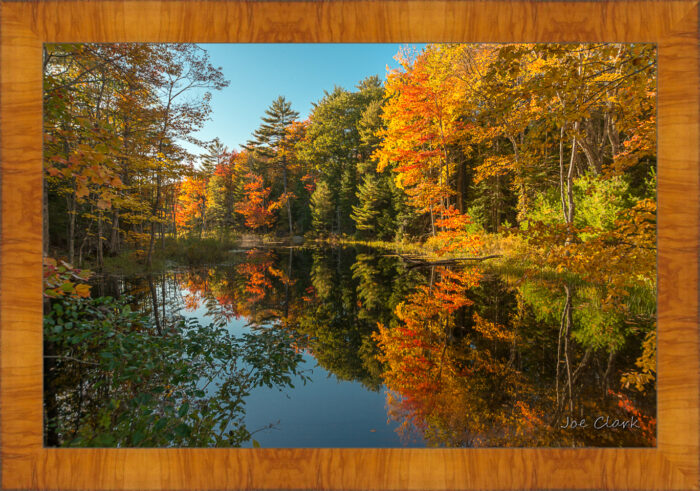 Fall in Maine 2 by Joe Clark R60583.jpg