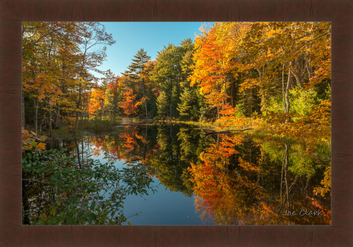 Fall in Maine 2 by Joe Clark R60587.jpg