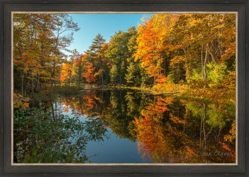 Fall in Maine 2 by Joe Clark L638120L638120.jpg