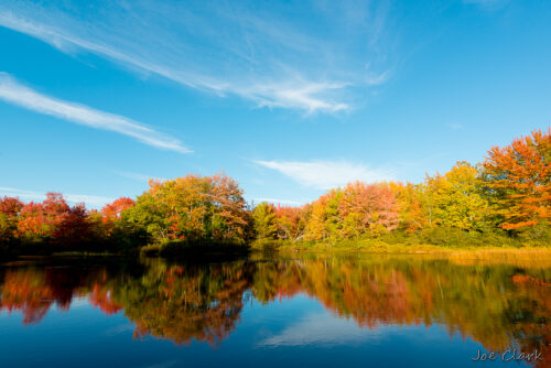 Fall in Maine