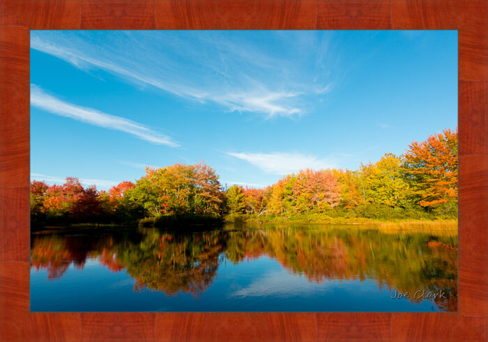 Fall in Maine by Joe Clark R60553.jpg