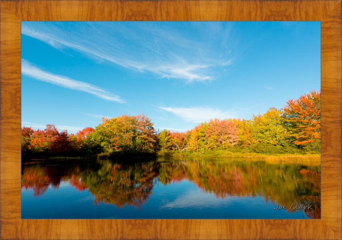 Fall in Maine by Joe Clark R60583.jpg