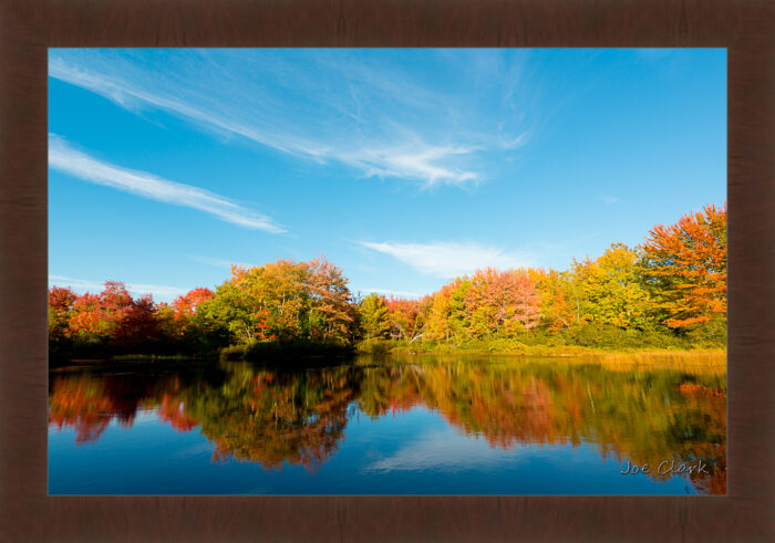 Fall in Maine by Joe Clark R60587.jpg