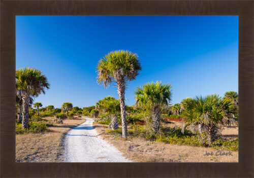 Gulf Trail by Joe Clark R60545.jpg