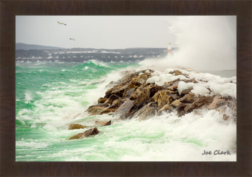 Gull Storm by Joe Clark R60545.jpg