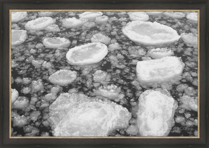 Ice Field 2 by Joe Clark L638120.jpg