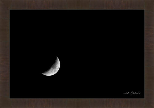 Luna Alone by Joe Clark R60545.jpg