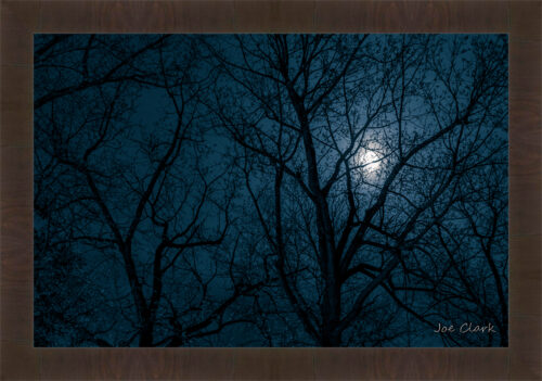 Moon Shadow by Joe Clark R60545.jpg