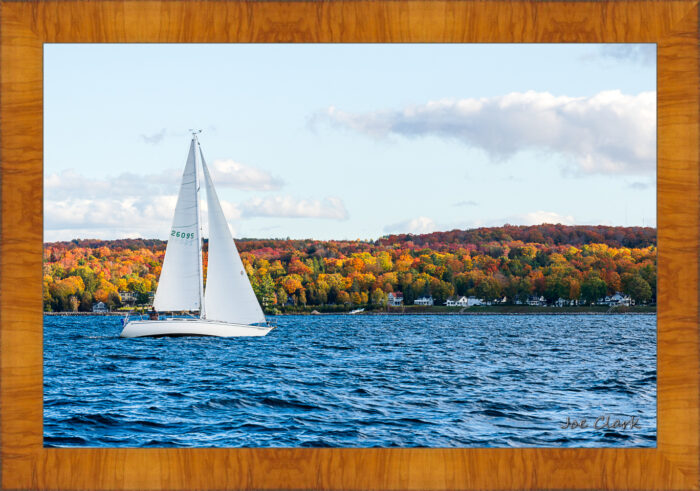 Sailing with Beernard by Joe Clark R60583.jpg