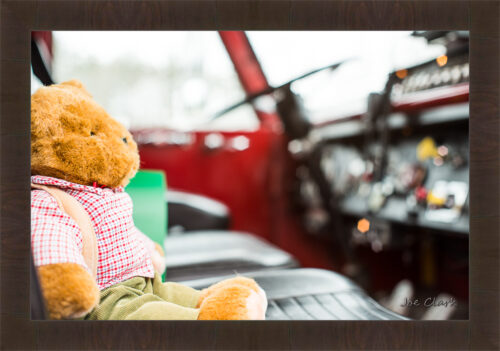 Teddy by Joe Clark R60545.jpg