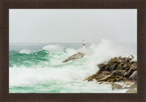 Winter Swell by Joe Clark R60545.jpg